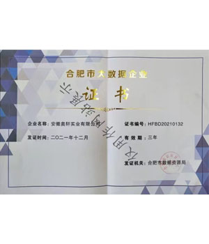 合肥市大數(shù)據(jù)企業(yè)證書