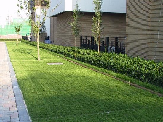 成都植草格鋪設(shè)